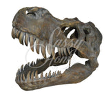 T-Rex Dinosaur Skull Ornament - JG007