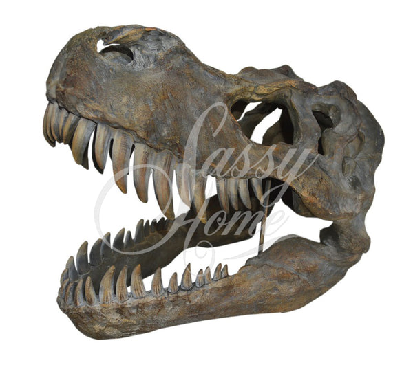T-Rex Dinosaur Skull Ornament - JG007