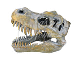 T-Rex Dinosaur Skull Ornament - JG007
