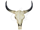 Large Bull Skull Wall Ornament - JG015