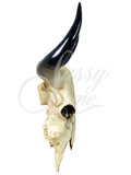 Large Bull Skull Wall Ornament - JG015