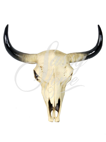Small Bull - Ram Skull Wall Ornament - JG016