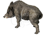 Wild Boar Ornament - JG027