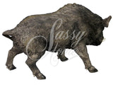 Wild Boar Ornament - JG027
