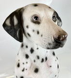 Large Sitting Dalmatian Ornament - JG056