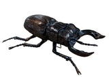 Metallic Giant Stag Beetle Wall Hanging Ornament - TM003