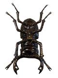 Metallic Giant Stag Beetle Wall Hanging Ornament - TM003