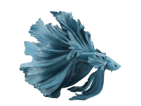 Blue Siamese Fighter Fish Ornament - TM016