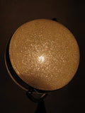 Silver Glittered Globe Table Lamp - WLT4001-1
