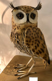 Metal Barn Owl Ornament - JG035